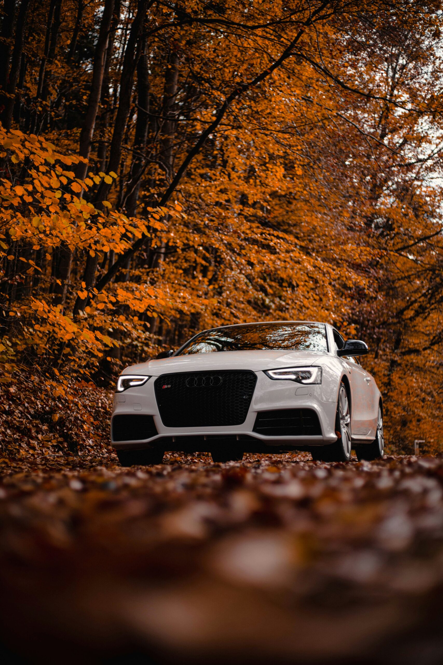 Weißes Auto auf einer Straße mit Blättern und herbstlichen Bäumen
